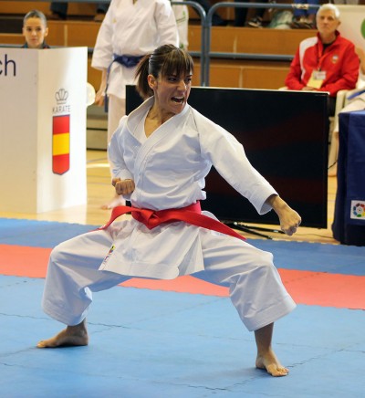 sandra sanchez karate