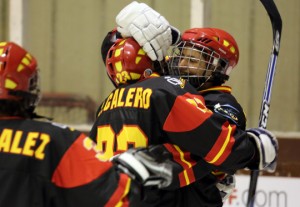 Hockeyhielo