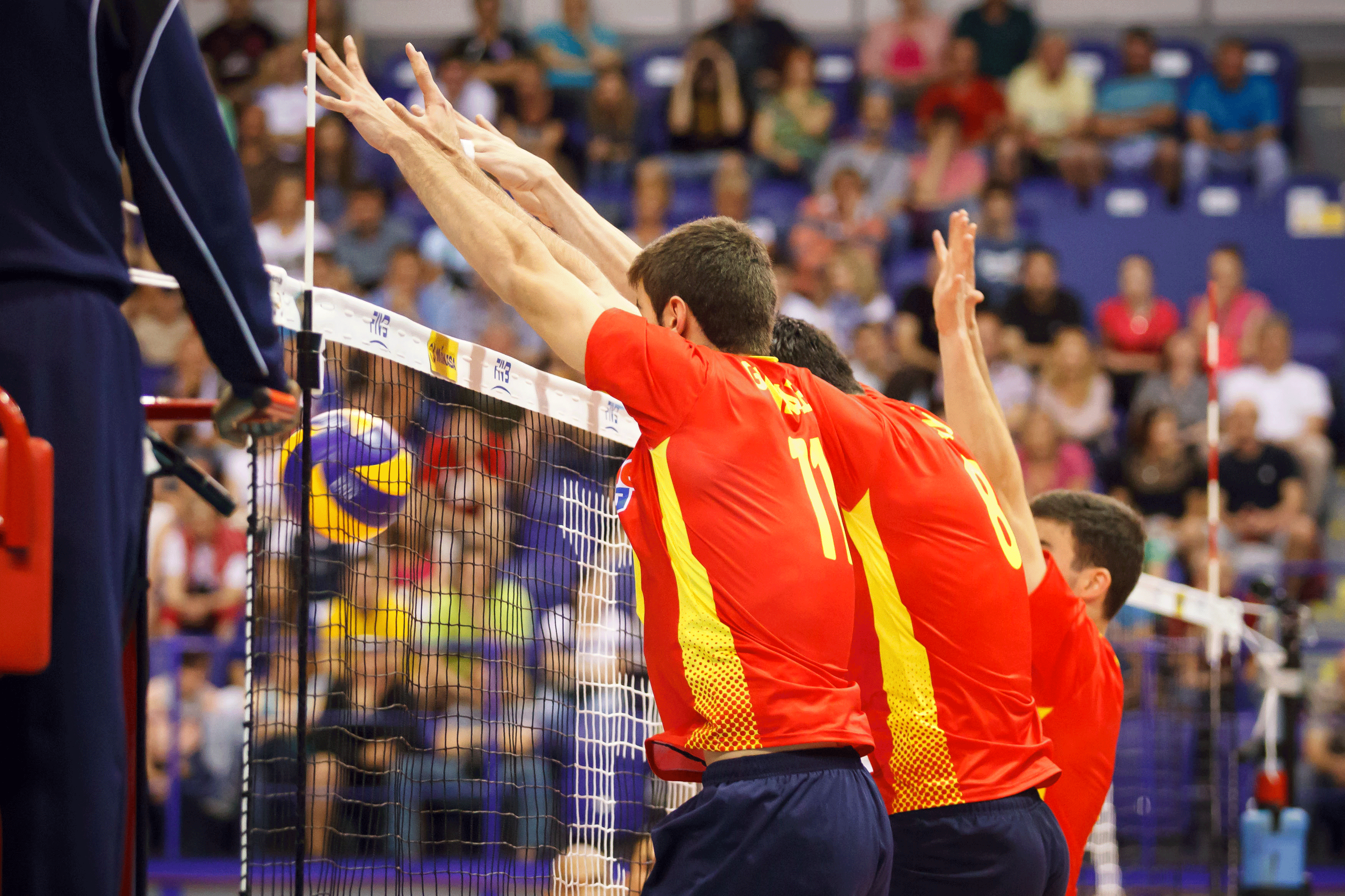 La selección masculina española de voleibol cae en el tiebreak ante Puerto Rico. Fuente: RFEVB