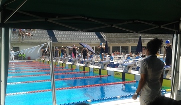 Instante de la salida de la prueba 800 metros libre femenino. Fuente: RFEN