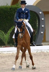 Antonio Verdejo Pérez. Fuente: Yeguada centurión