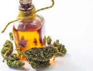 Aceite de CBD como aliado para las actividades deportivas