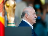 Vicente del Bosque, al frente de la Comisión creada por el CSD para tutelar la Rfef