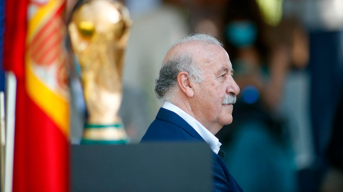 Vicente del Bosque. Fuente: CSD