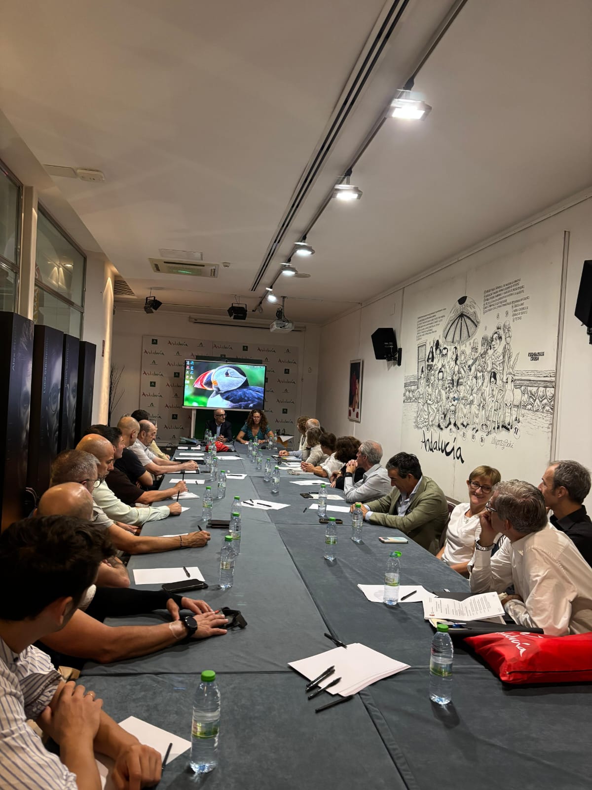Médicos del deporte. Fuente: Junta de Andalucía