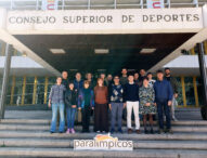 El CPE acoge un debate sobre la clasificación funcional