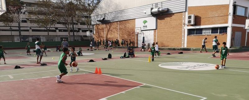 Nuevo proyecto baloncesto adaptado en Málaga. Fuente: EBG