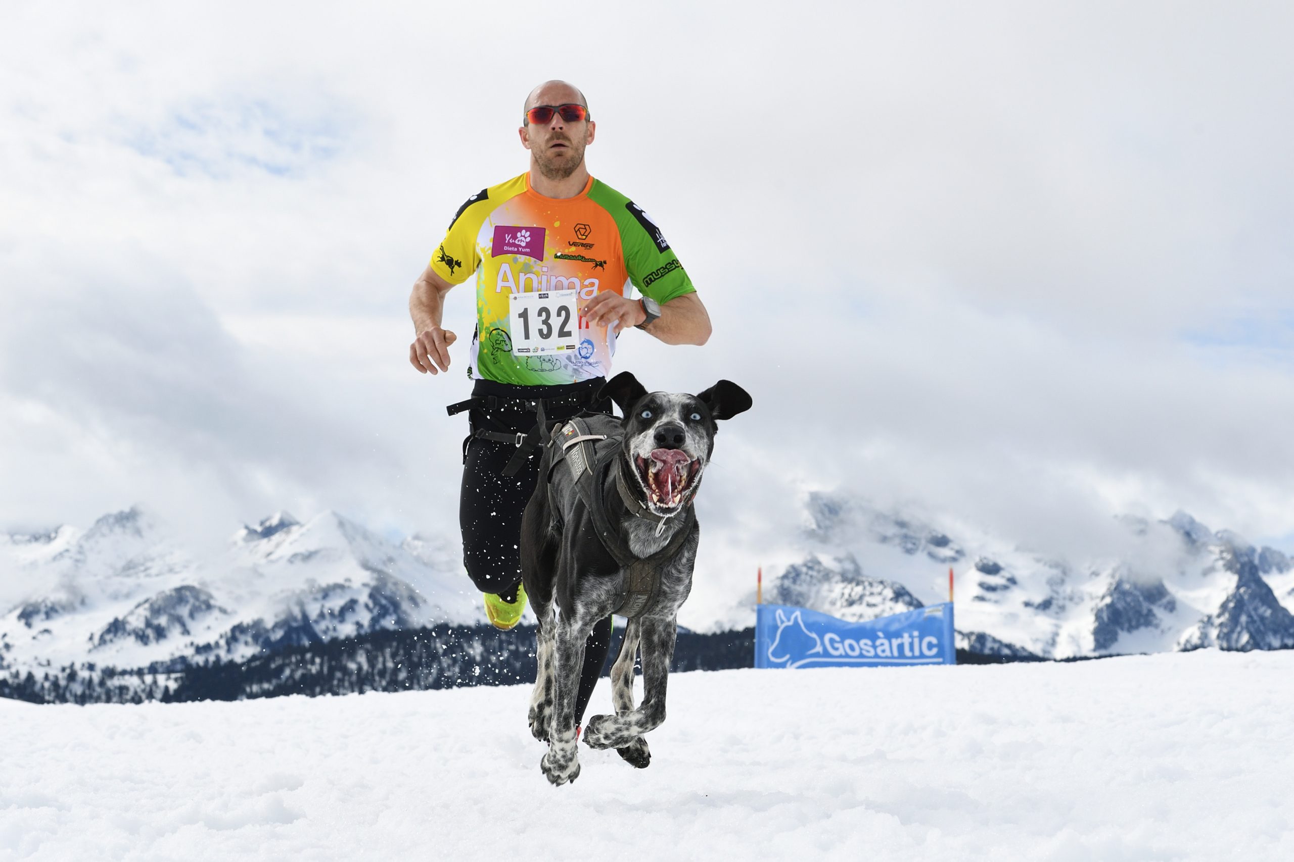 Deportista de mushing sobre nieve sprint. Fuente: Rfedi