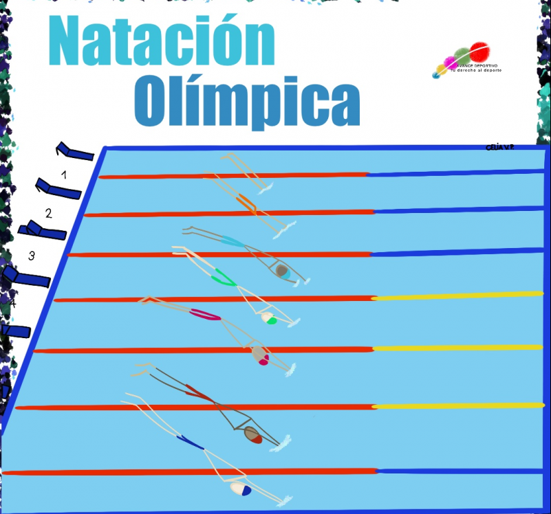 🏊Natación olímpica