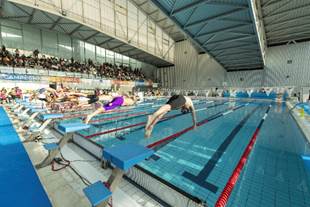 Campeonato natación paralímpico. Fuente: Comité Paralímpico Español
