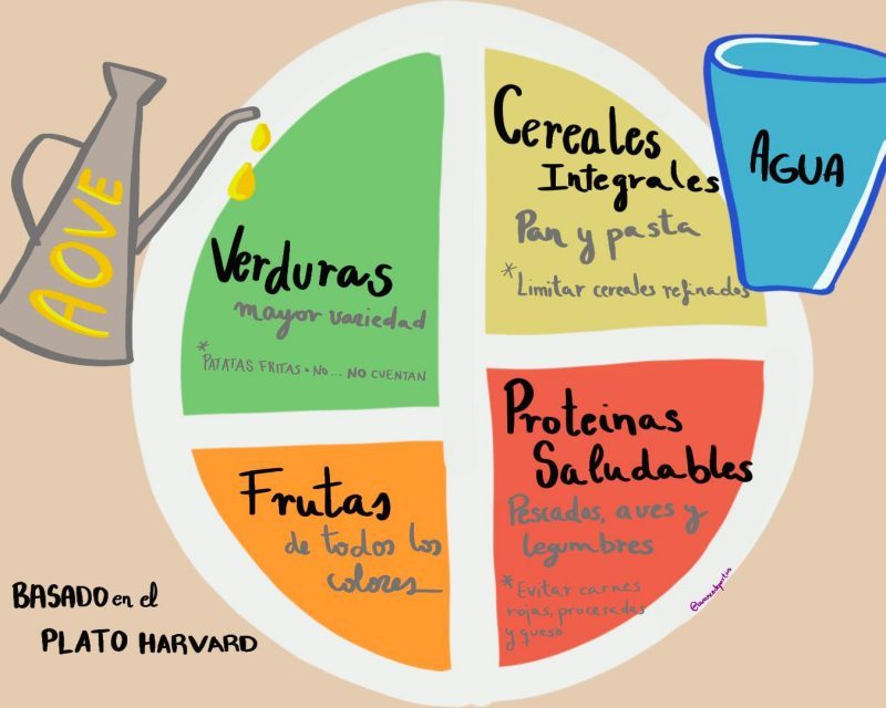 Plato Harvard. Fuente: Avance Deportivo