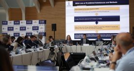 Los directores generales de Deportes de la Unión Europea comparten medidas para combatir el discurso de odio en el deporte